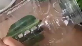 روش آسان تهیه خیارشور خانگی 