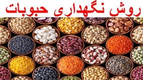 آشپزی ایرانی-روش نگهداری حبوبات خانم گل آور