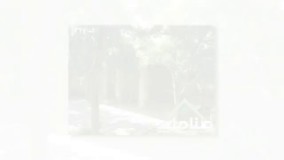 فروش باغ ویلای 500متری در شهریار کردزار کد1346