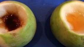 آشپزی آسان - آموزش تهیه عصاره شغلم برای سرماخوردگی