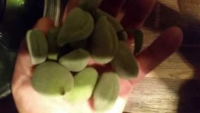 آشپزی ایرانی-چگونه کرک چغله بادام را از تنش جدا کنیم