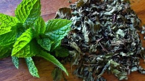 آشپزی ایرانی- آموزش خشک کردن نعناع