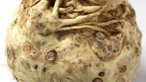 آشپزی ایرانی - معرفی ریشه کرفس و روش استفاده در آشپزی