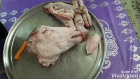 آشپزی ایرانی-طرز تهيه كله پاچه  درخانه