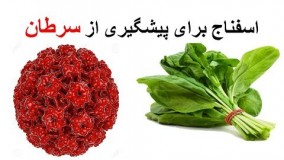 اسفناج موثر در پیشگیری از سرطان