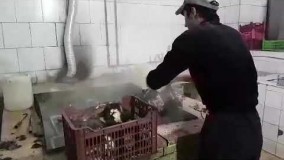 آشپزی ایرانی-کله پاچه پاک کنی