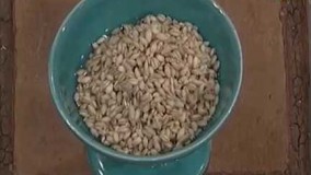 آشپزی ایرانی-آبگوشت گندم کردی