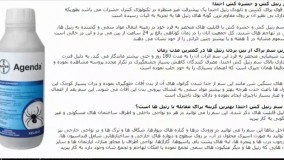 آجندا،معتبرترین و تضمینی ترین سم رتیل در تهران