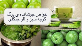 آشپزی ایرانی-جوشيده برگ گوجه سبز