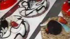 تهیه دسر-آموزش تزیین کیک زیبا