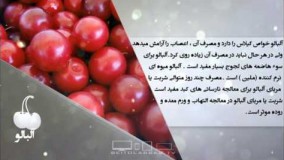 خواص غذایی و درمانی آلبالو-دانش تغذیه