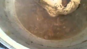 آشپزی ایرانی-طرز تهیه کله پاچه ،، ویدیو 3