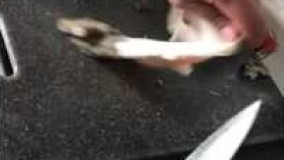 آشپزی ایرانی-تمیز کردن سیرابی و کله پاچه