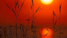  موسیقی بیکلام - بوی پیراهن یوسف - مجید انتظامی - انتظار