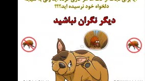 موثر ترین سم کک کش، فوق العاده قوی، کیلز فلاز