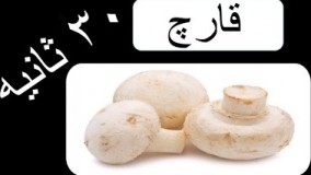 خواص و فوايد قارچ در 30 ثانيه