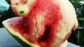 تزیین میوه-تزیین بسیار عجیب میوه ها