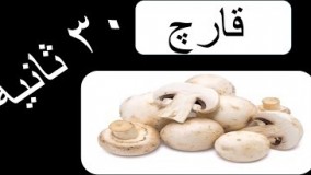 خواص و فواید قارچ  در ۳۰ ثانیه  || بخش  سوم