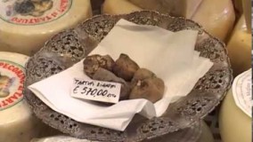 گران قیمت ترین قارچ جهان