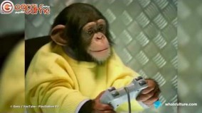 با 10 کنسول پرفروش تاریخ آشنا شوید