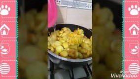 آشپزی-لواشک زردآلو