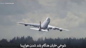 ببینید: شوخی خلبان هنگام بلند شدن هواپیما
