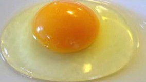 خواص جالب تخم مرغ که باید بدانیم