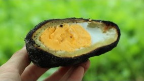 ترفندهای آشپزی-پختن تخم مرغ در سیب زمینی