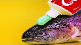 ترفندهای آشپزی برای شما