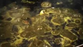 خورشت قورمه سبزي