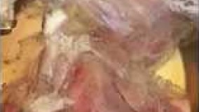 آشپزی ایرانی - خورشت سبزي -Khoresht ghormeh sabzi