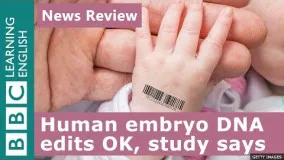 Human embryo DNA editing OK, says study