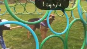 پت و مت قسمت دوم