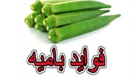 بامیه گیاه سبز رنگ با فواید سرشار