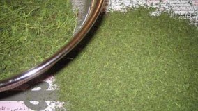 آموزش آشپزی - آموزش خشک کردن سبزیجات در فر