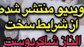 وضعیت بد الناز شاکر دوست در بیمارستان و اینکه چه اتفاقی برای او افتاد