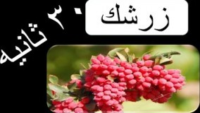 خواص و فواید زرشك   در ۳۰ ثانیه ||    بخش دوم