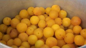 آشپزی آسان-رب آلوچه یا سس آلو زرد بسیار خوش طعم 