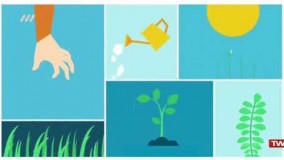 آشپزی ایرانی-پلو ماش بختیاری