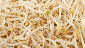 آشپزی آسان- آموزش درست کردن جوانه ماش