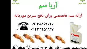 سم موریانه کش و حشره کش قوی ترمیدور، خارجی