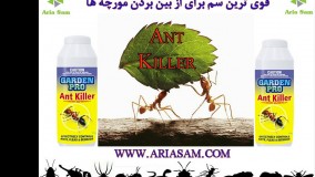 سم قوی برای از بین بردن مورچه، بدون بو و عوارض جانبی