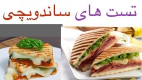 انواع تست های ساندویچی - گیاهی و غیرگیاهی