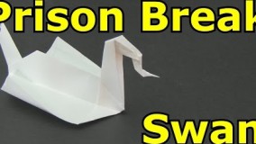 آموزش اوریگامی پرنده-ویدیو اوریگامی 13