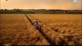 تیتراژ ابتدایی ماه عسل ۹۴ با صدای امیر علی بهادری 2