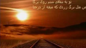 فاصله از محسن چاووشی18