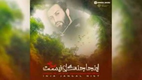 امیرعلی - اینجا جنگل نیست14