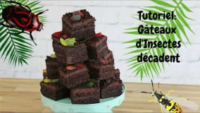 آشپزی -تزیین کیک 456