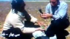 دستور پخت اسفناج