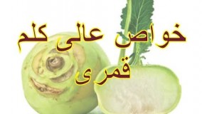 خواصی از کلم قمری که تاکنون نمیدانستید !